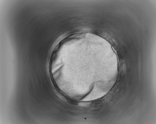 X0000110910051200907161507