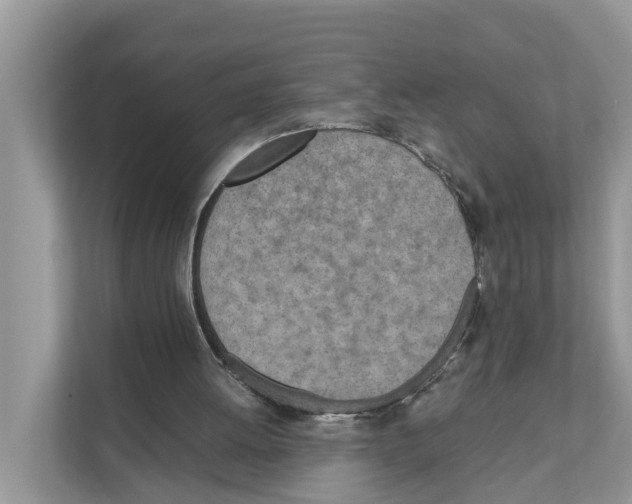 X0000110910052200907161507