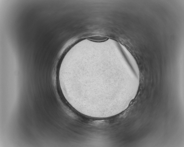 X0000110910054200907161507