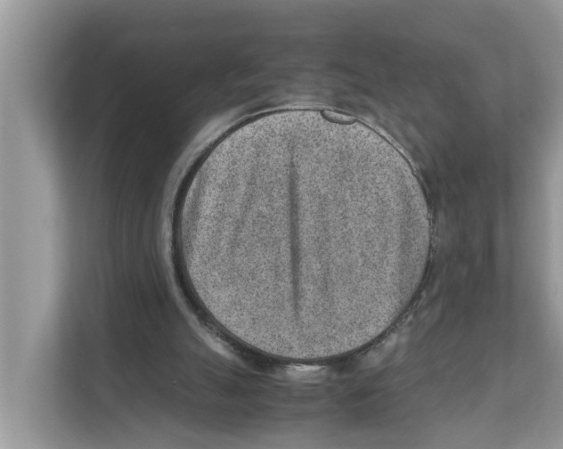 X0000110910055200907161507