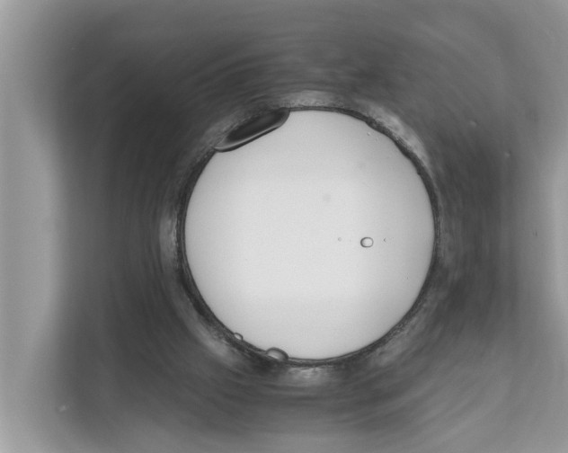 X0000110910057200907161507