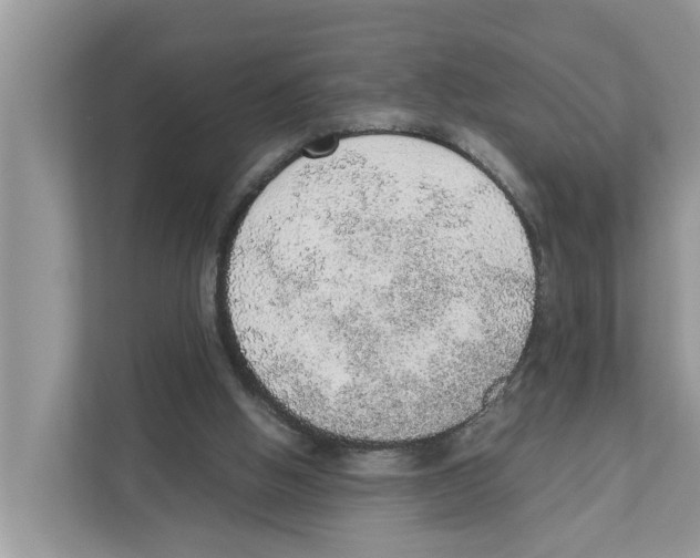 X0000110910058200907161507