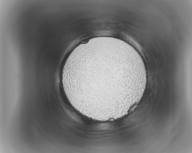 X0000110910059200907161507