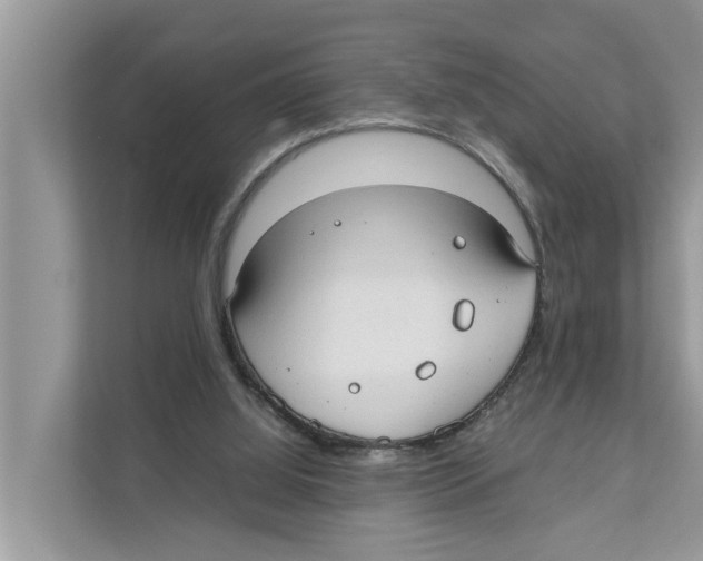 X0000110910060200907161507