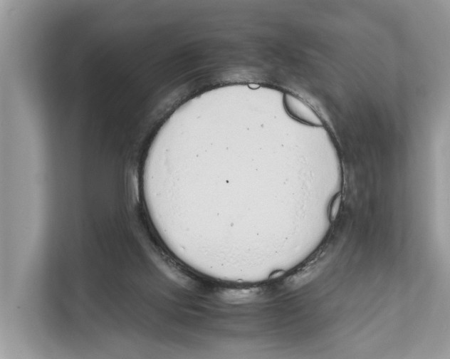 X0000110910061200907161507