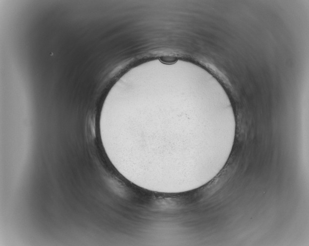 X0000110910062200907161507