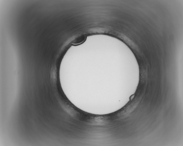 X0000110910064200907161507