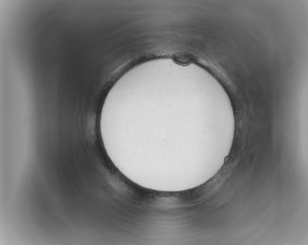 X0000110910066200907161507