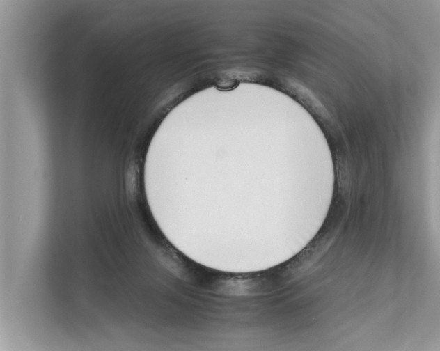 X0000110910071200907161507