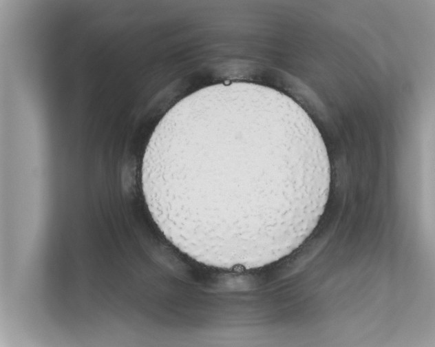 X0000110910073200907161507