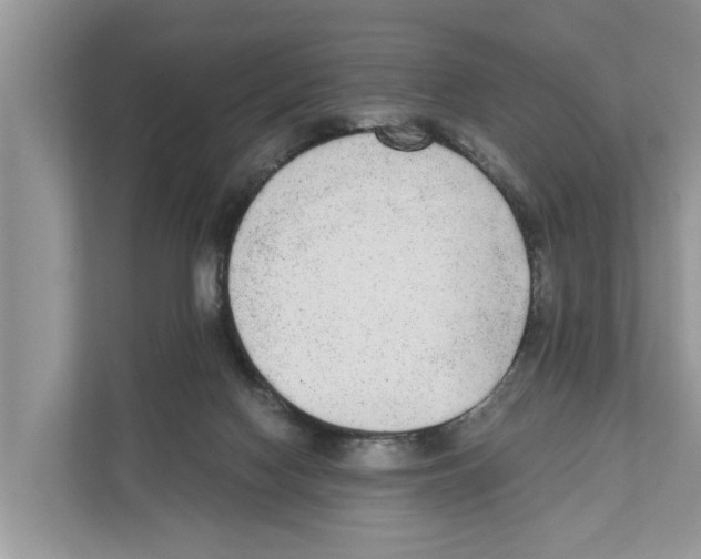 X0000110910074200907161507