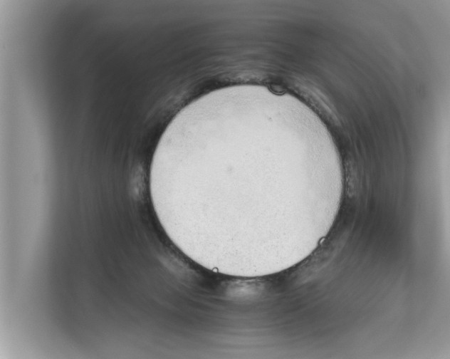 X0000110910077200907161507