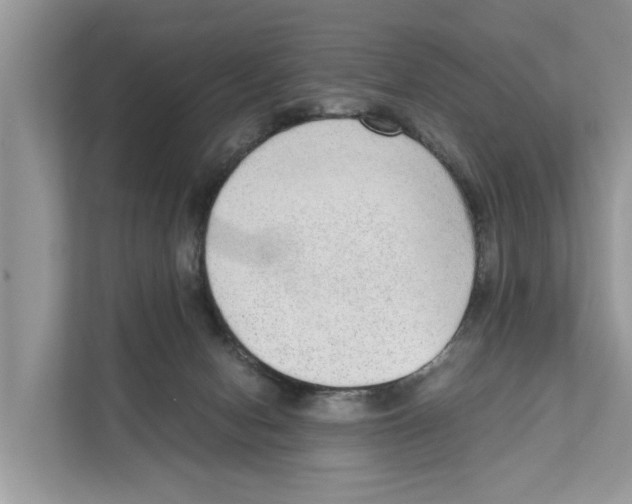 X0000110910078200907161507