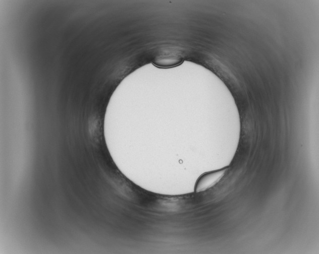 X0000110910079200907161507