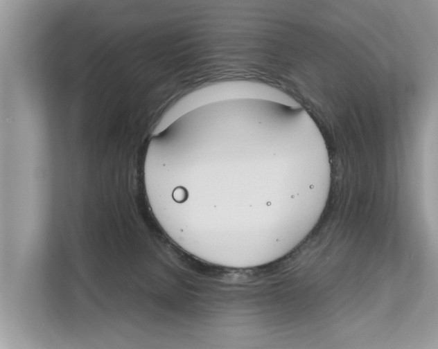 X0000110910080200907161507