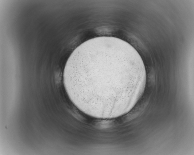 X0000110910081200907161507