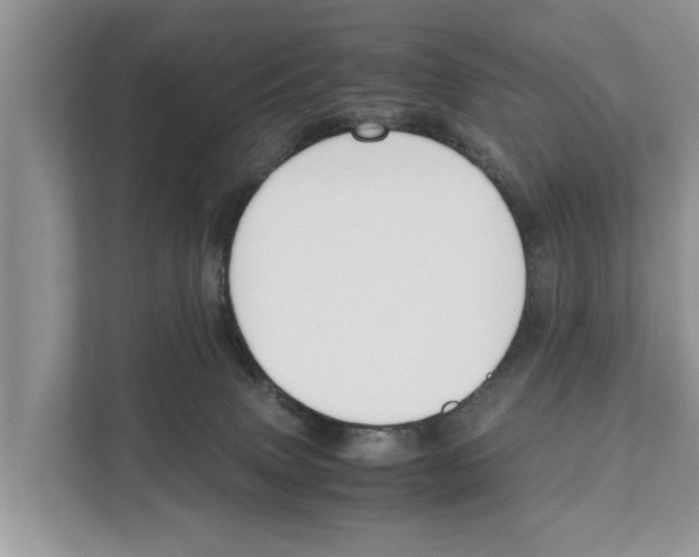 X0000110910083200907161507