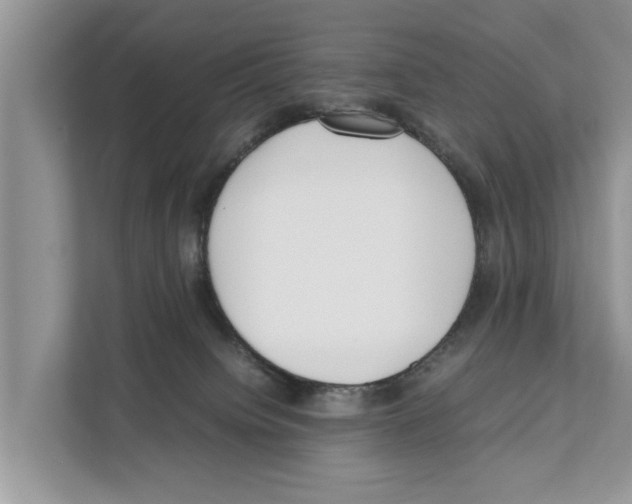 X0000110910084200907161507