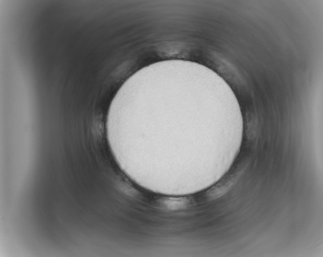 X0000110910085200907161507