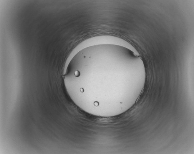 X0000110910088200907161507