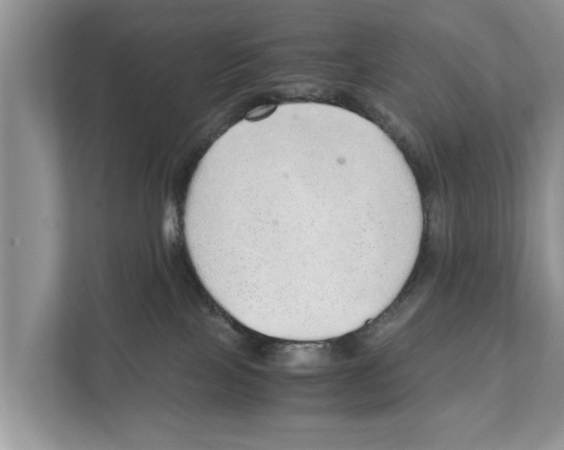 X0000110910089200907161507