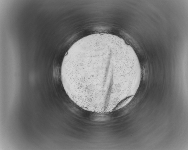 X0000110910093200907161507