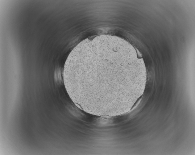 X0000110910094200907161507