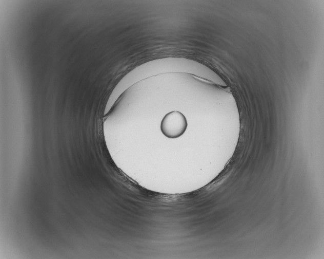 X0000110910096200907161507