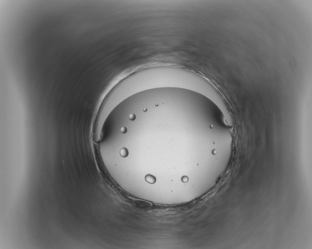 X0000110910100200907161507