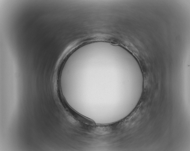 X0000110910101200907161507