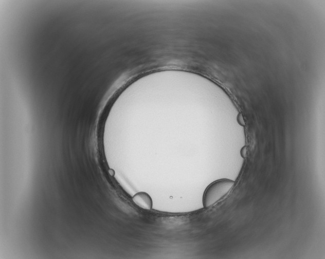 X0000110910102200907161507