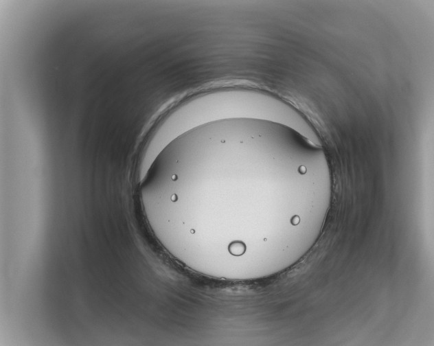 X0000110910112200907161507