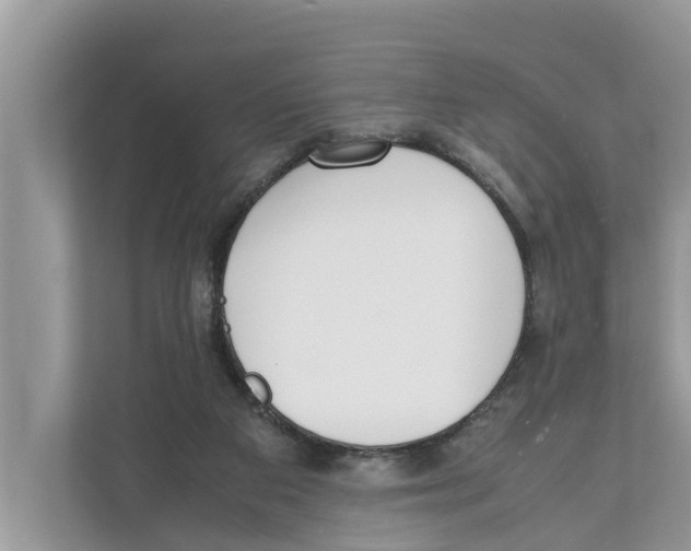 X0000110910113200907161507