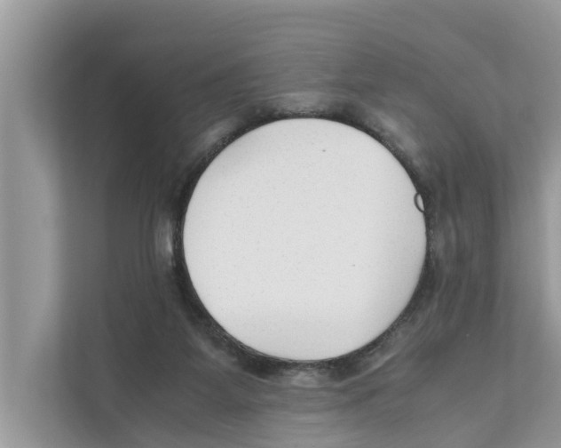 X0000110910115200907161506