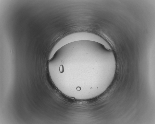 X0000110910117200907161506