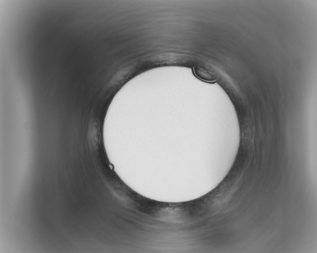 X0000110910119200907161506