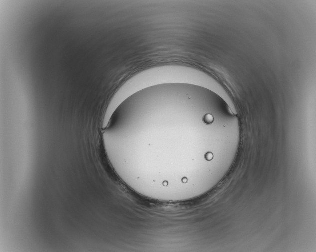 X0000110910121200907161506