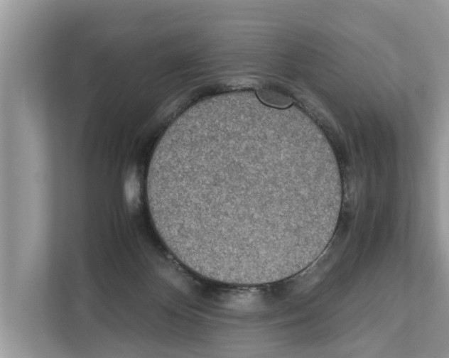 X0000110910124200907161506