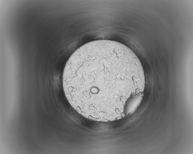 X0000110910127200907161506