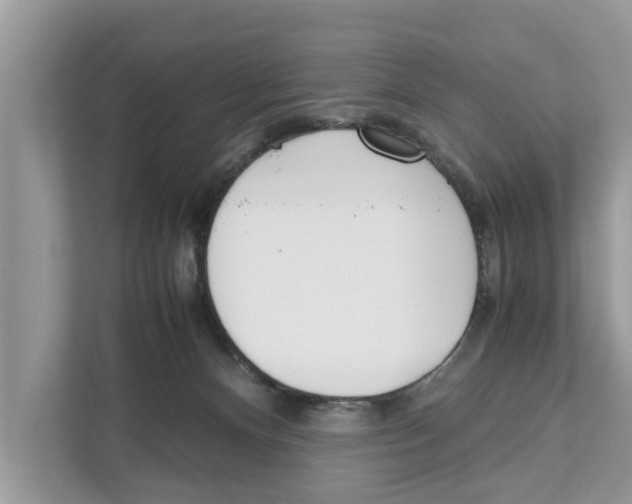 X0000110910128200907161506