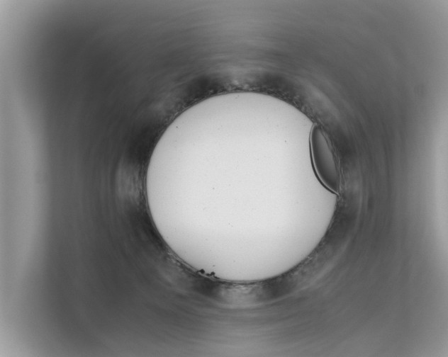 X0000110910129200907161506