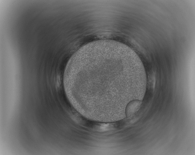 X0000110910130200907161506