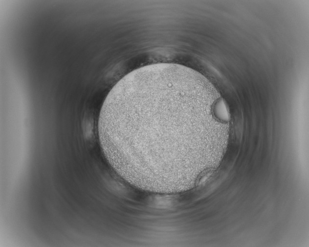 X0000110910134200907161506