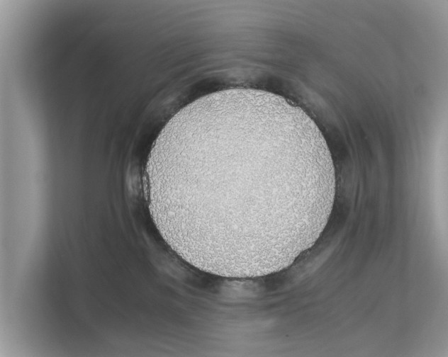 X0000110910137200907161506