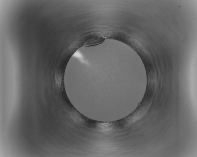 X0000110910139200907161506