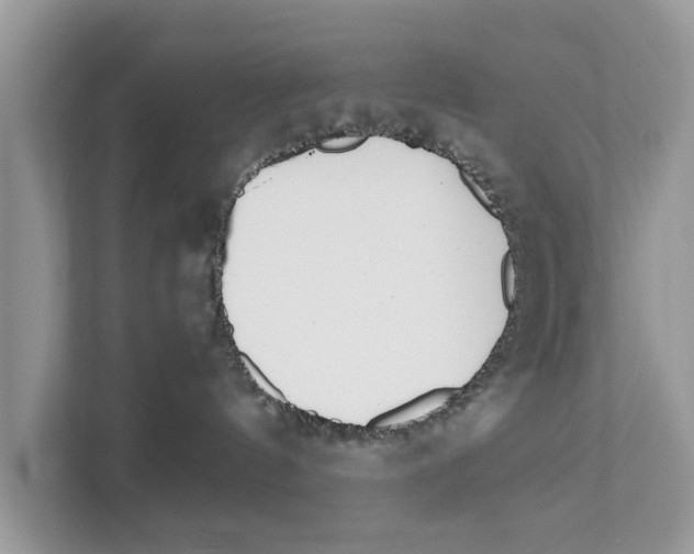 X0000110910144200907161506