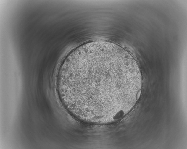 X0000110910145200907161505