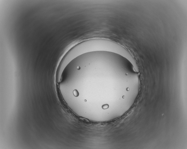 X0000110910148200907161506