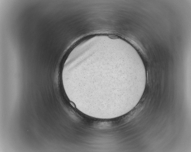 X0000110910156200907161506