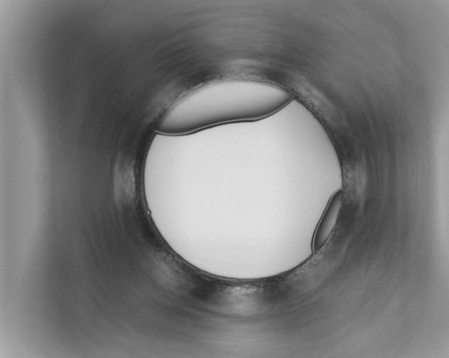 X0000110910158200907161506